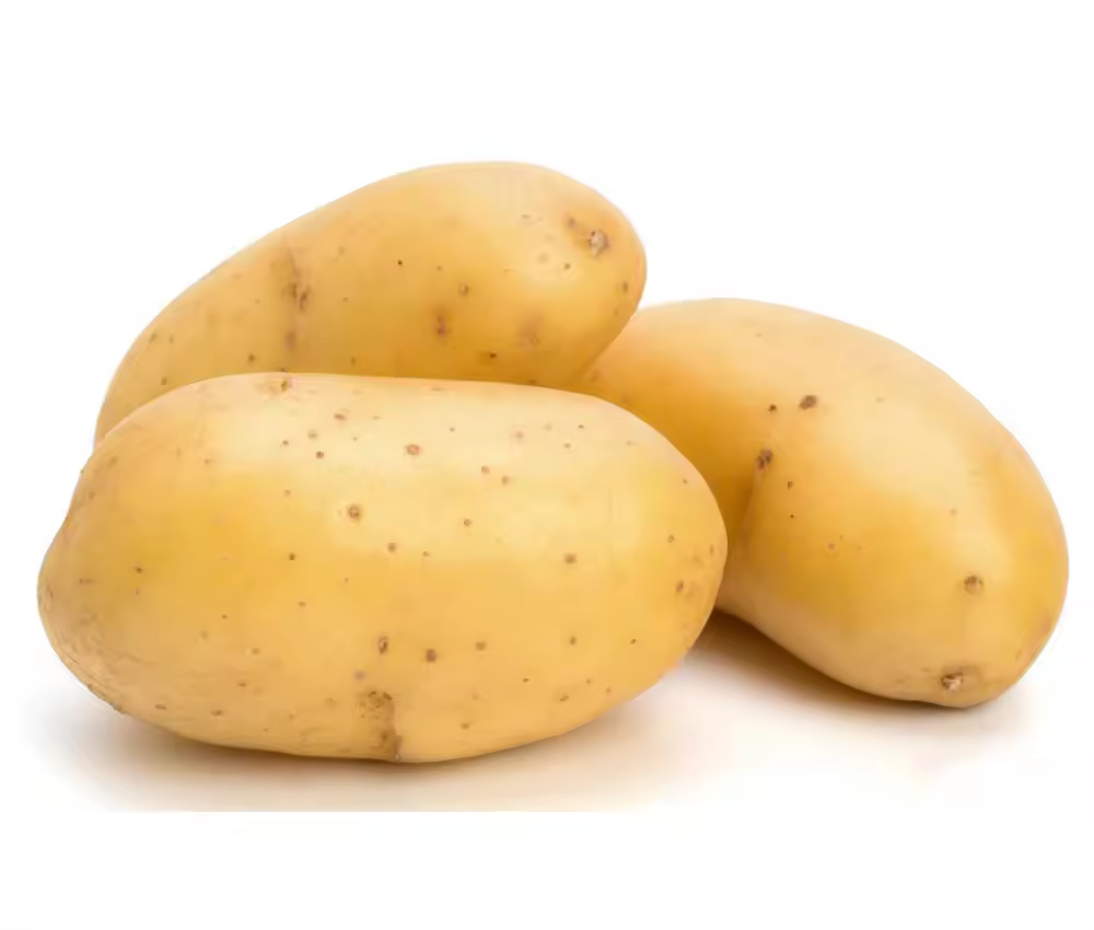 Potato