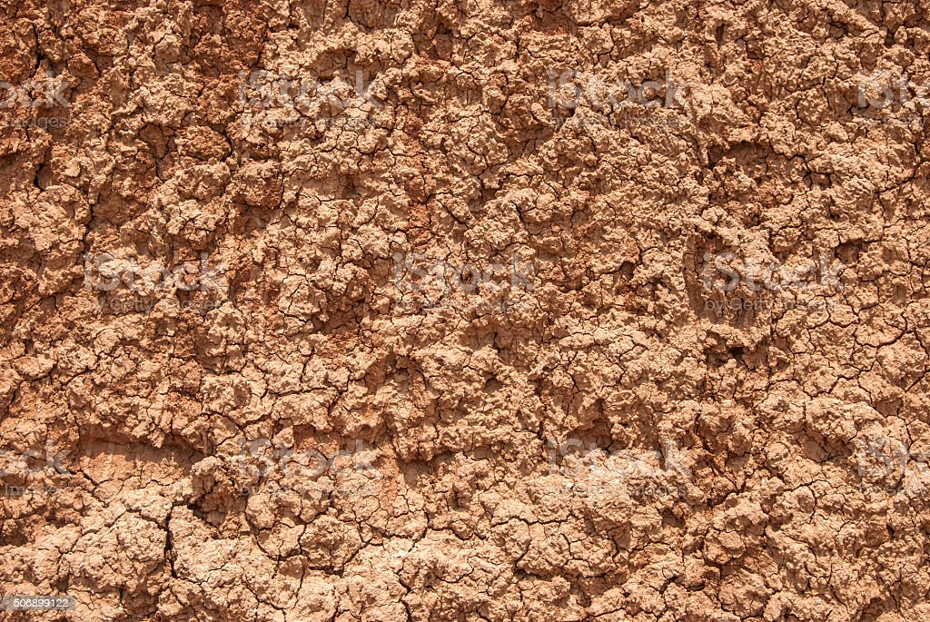 Clay Loam Soil