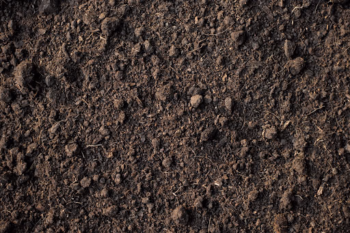 Loam Soil