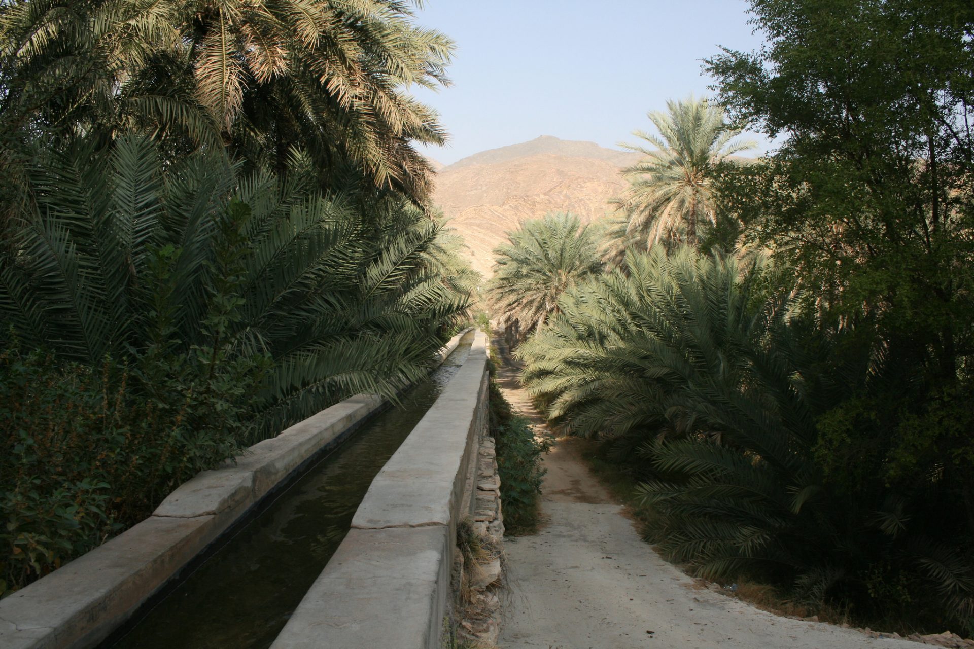 Falaj Water (Aflaj)